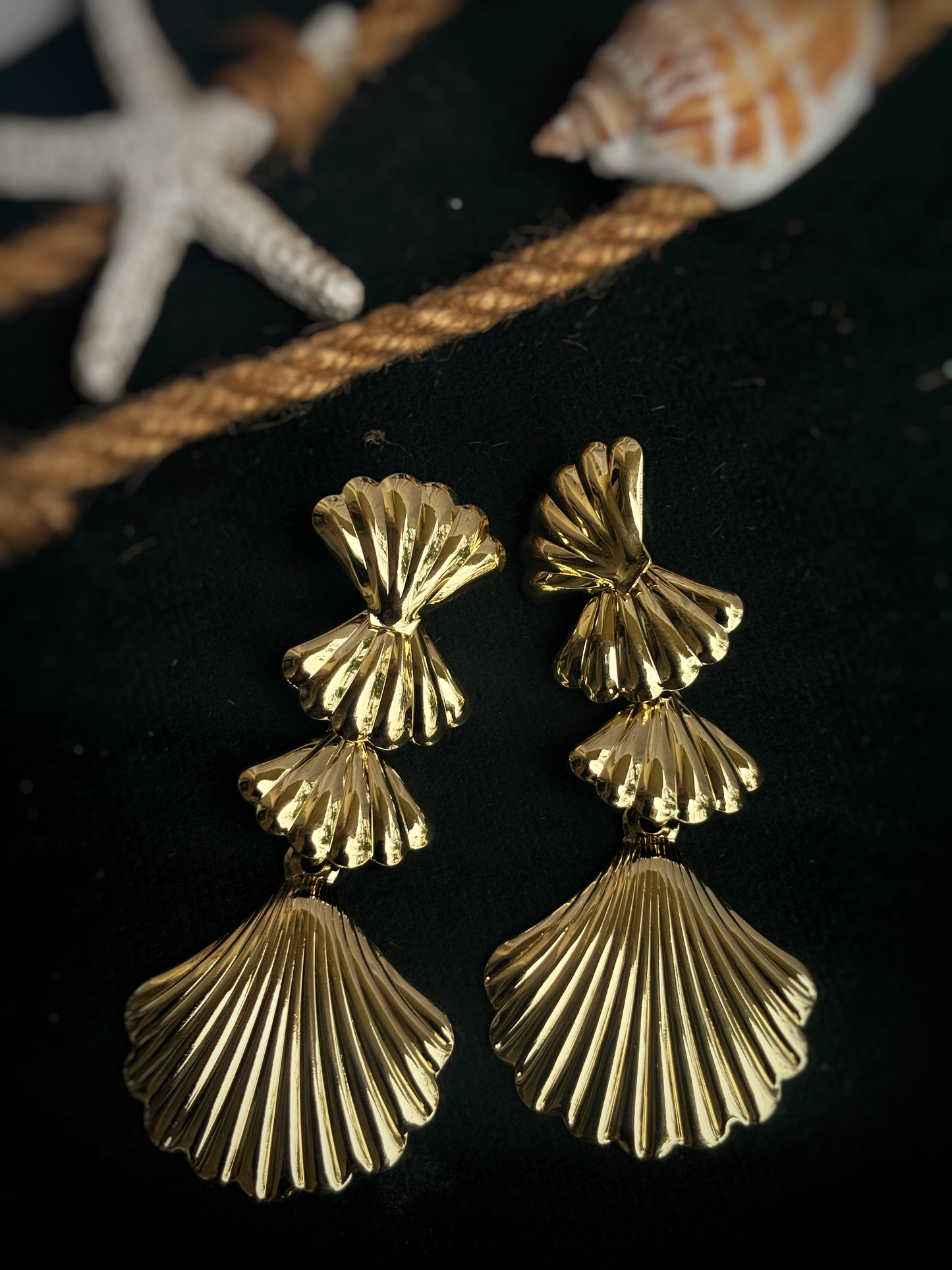 Sea Shell Earrings