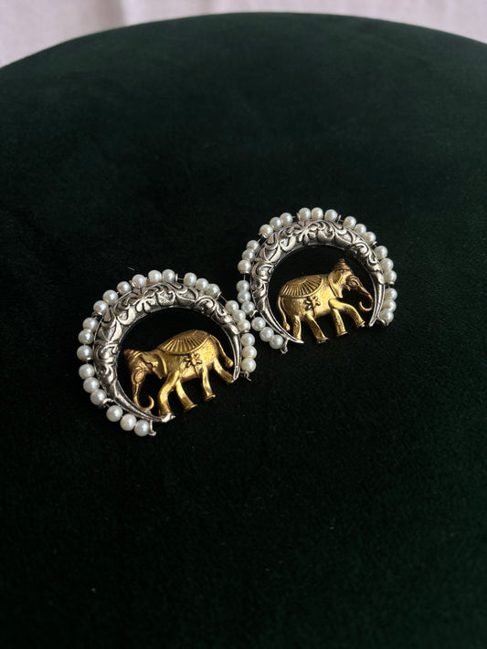 "Parnika" Dual Tone Earrings